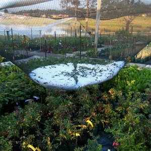 Apfel traube Anti-Hagel-Netz Anti-Oxidation Obstgarten Ackerland Gartenbau-Schutz netz