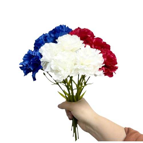 แดง ขาว น้ำเงิน