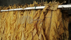 Small Leaf <strong>Cutter</strong> Cutting Width 0.8mm.grinder Crusher Shredder Cutting Machine for Fine Cut From Leaves - Product Image 4