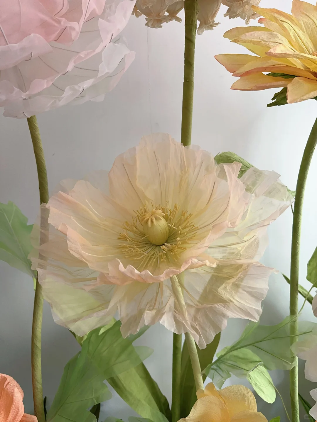 Coquelicot orange unique