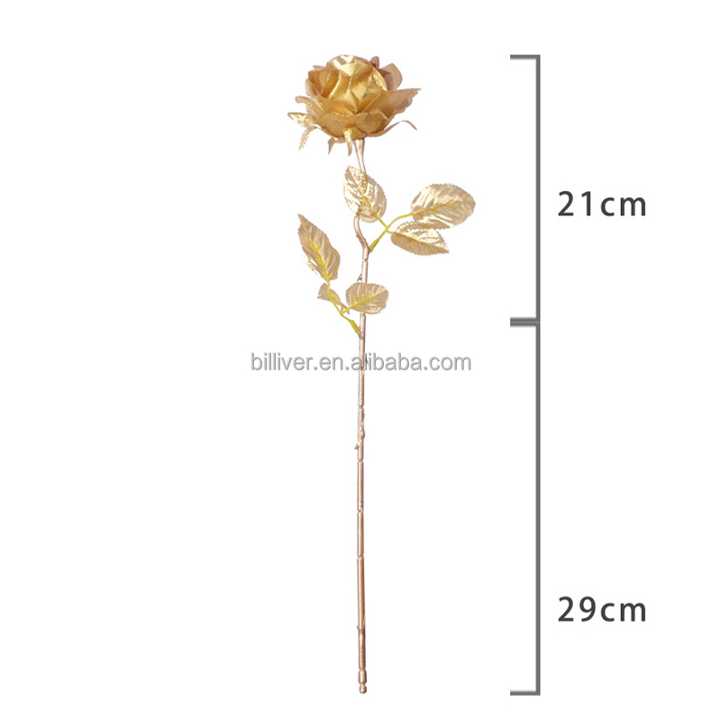 50 cm/1,7 piedi