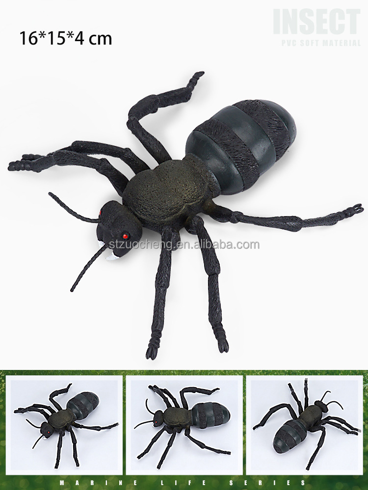 Ant-79g