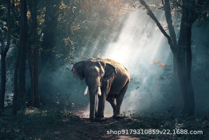 Elefante 1000 piezas