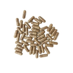 Verbessern Sie die Ergänzung der Gehirn funktion Reishi Mushroom Lion's Mane Ganoderma Cordy ceps Sinensis Extrakt Kapseln - Product Image 1