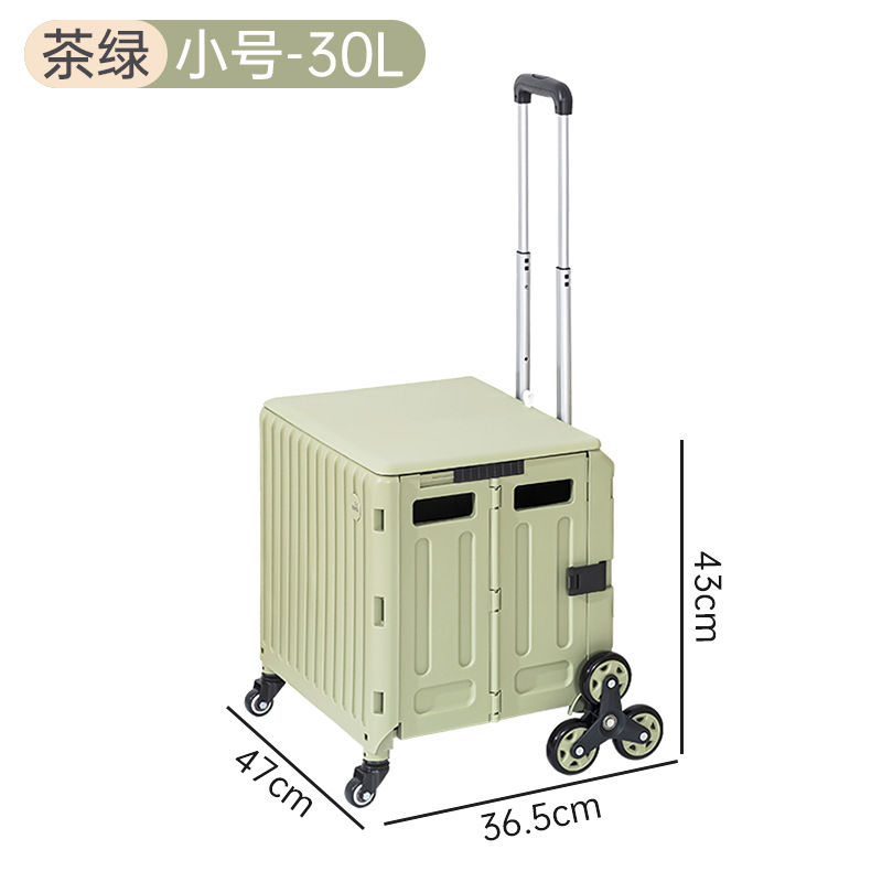 Thé Vert Petit Format 30L