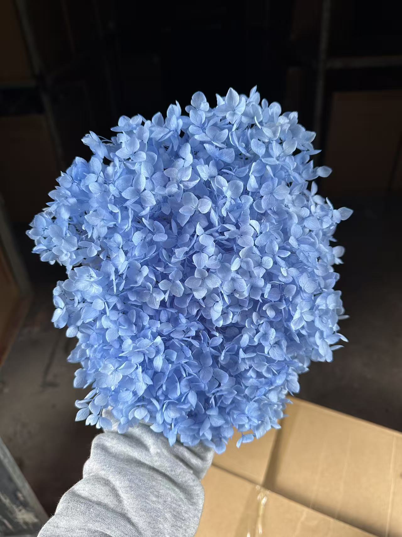 Bleu clair