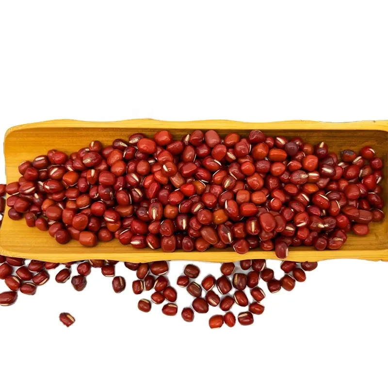 Petite haricots rouges séchés ronds de haute qualité pour Bingsu coréen Adzuki Azuki