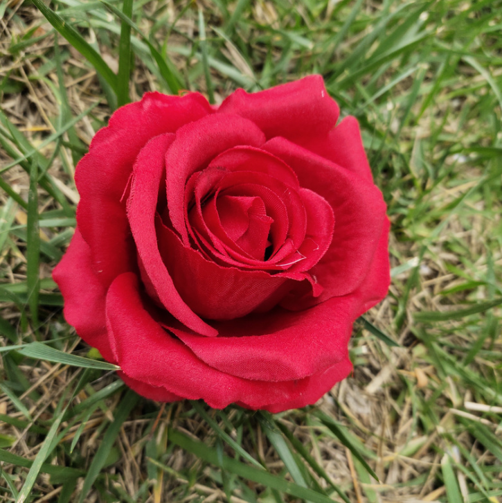Grande rosso