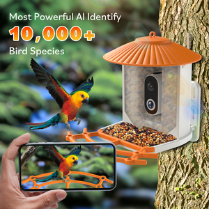 Merhaba kuşlar APP akıllı AI kuş besleyici kamera ile 3.5W GÜNEŞ PANELI 5200mAh pil kovalayan sincap uzakta bulut depolama yakalamak resim - Product Image 4