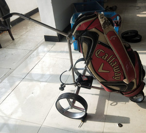 Golf Trolley 12 В DC параллельный вал редукторного двигателя контроллер Соединитель аксессуар цветной тормозной кодировщик оригинального типа DYD