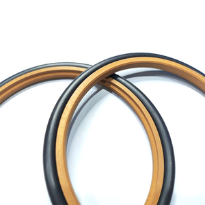 OEM Rod piston thủy lực PTFE con dấu Rod Piston xi lanh thủy lực xây dựng lại Bộ dụng cụ xi lanh thủy lực động cơ spgw con dấu - Product Image 2