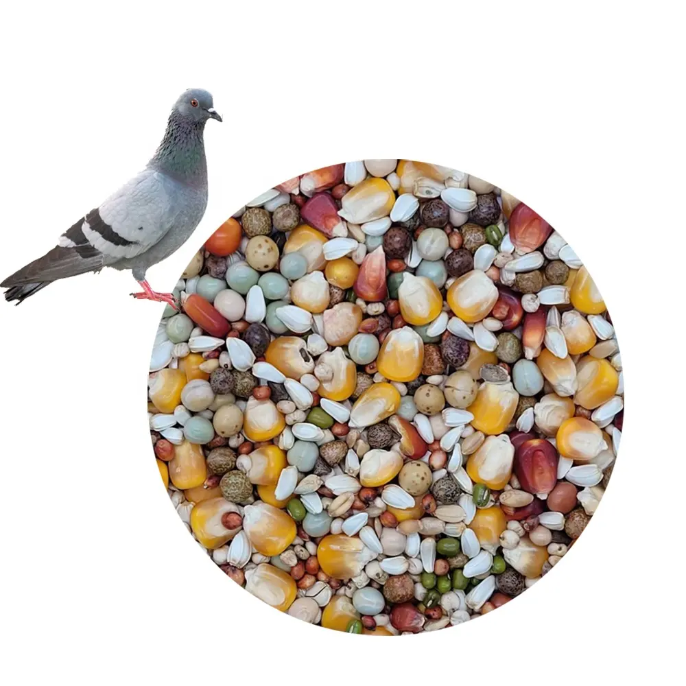 Vente en gros de pois, graines de tournesol, graines de canari, sparadrap séchés, mélange de nourriture pour jeunes pigeons