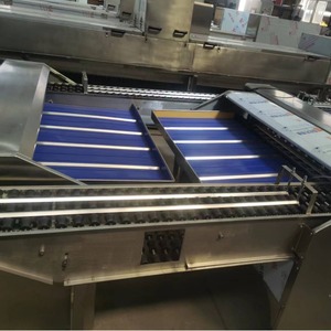 高效鸡蛋分选机鸡蛋大小重量分选机分类自动小型分级机分类 - Product Image 5