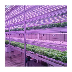 LED büyütücü aydınlatma  Hydroponic kapalı dikey bitki fabrikası için özelleştirilmiş tam spektrum bitki büyümek için Led ışık - Product Image 1