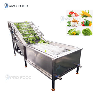 <strong>High</strong> <strong>Output</strong> Multifunctional Bubble Fruit Washing <strong>Machine</strong> Supplier with Core Engine Component - Product Image 2