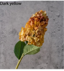 Amarillo oscuro