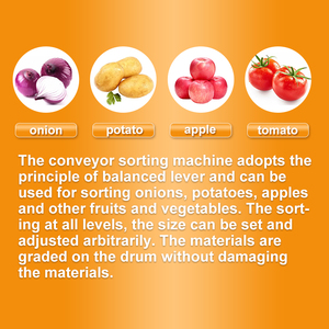 ジャガイモ仕分け機TCA果物野菜分類機 - Product Image 2