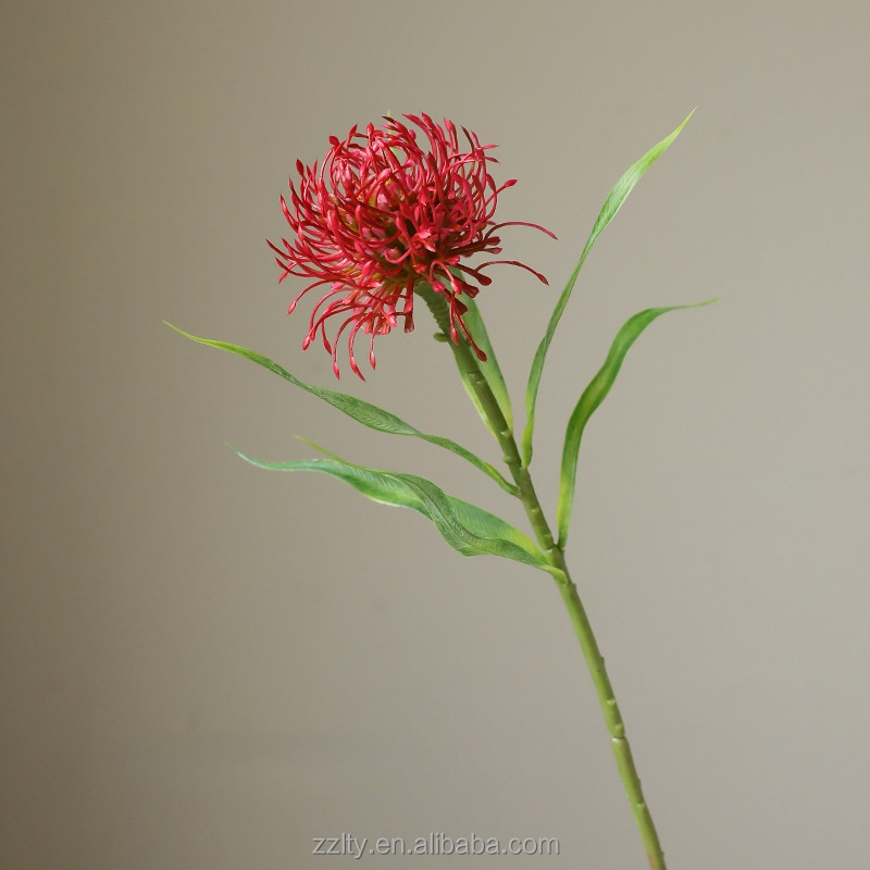 Rose red