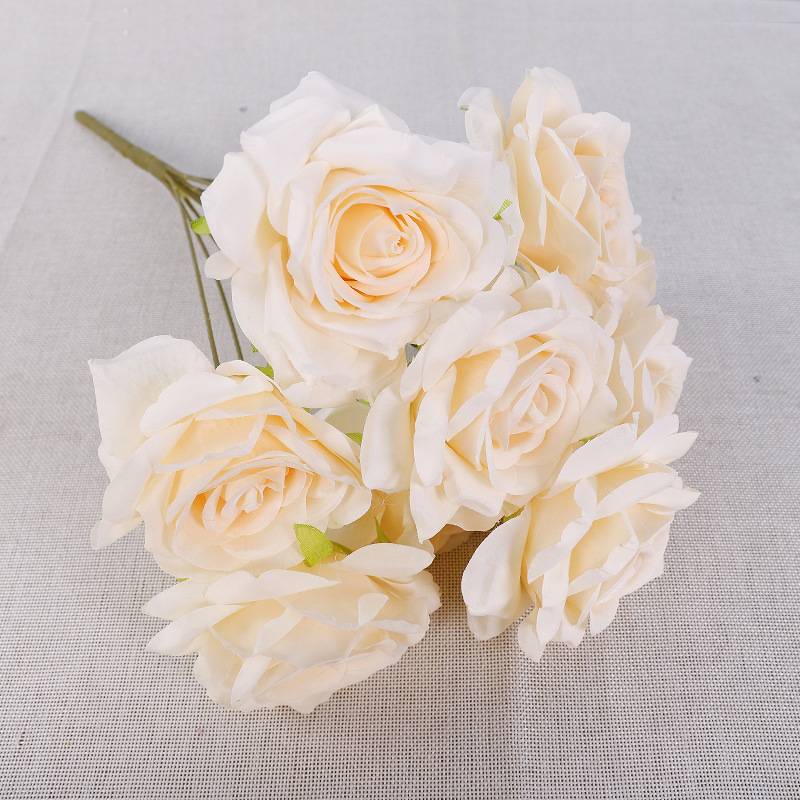 บี แชมเปญ