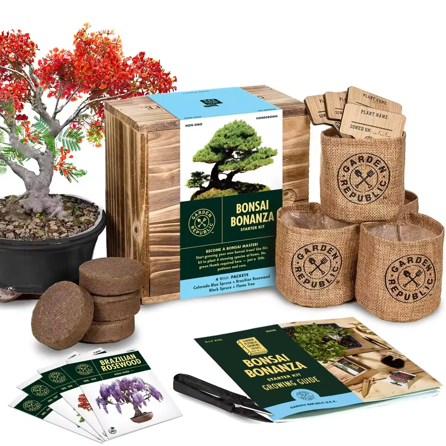 Unusual Christmas Gifts Ideas Bonsai Starter Kit Gardening Gift For Women Bonsai Tree Complete Growing Kit Bonsai Tree Best