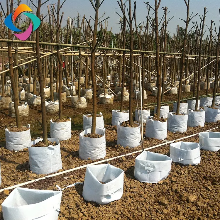 Sacs de culture de géotextiles écologiques pour couvrir les cultures, les arbres, les fleurs, les tomates, les jardins