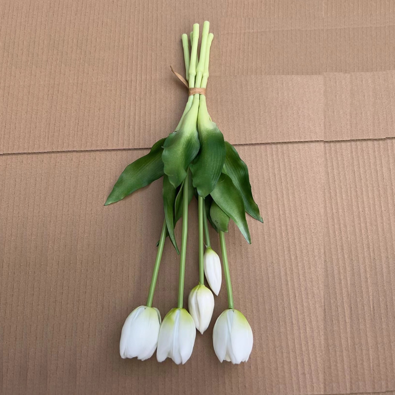 Bianco puro con fondo verde