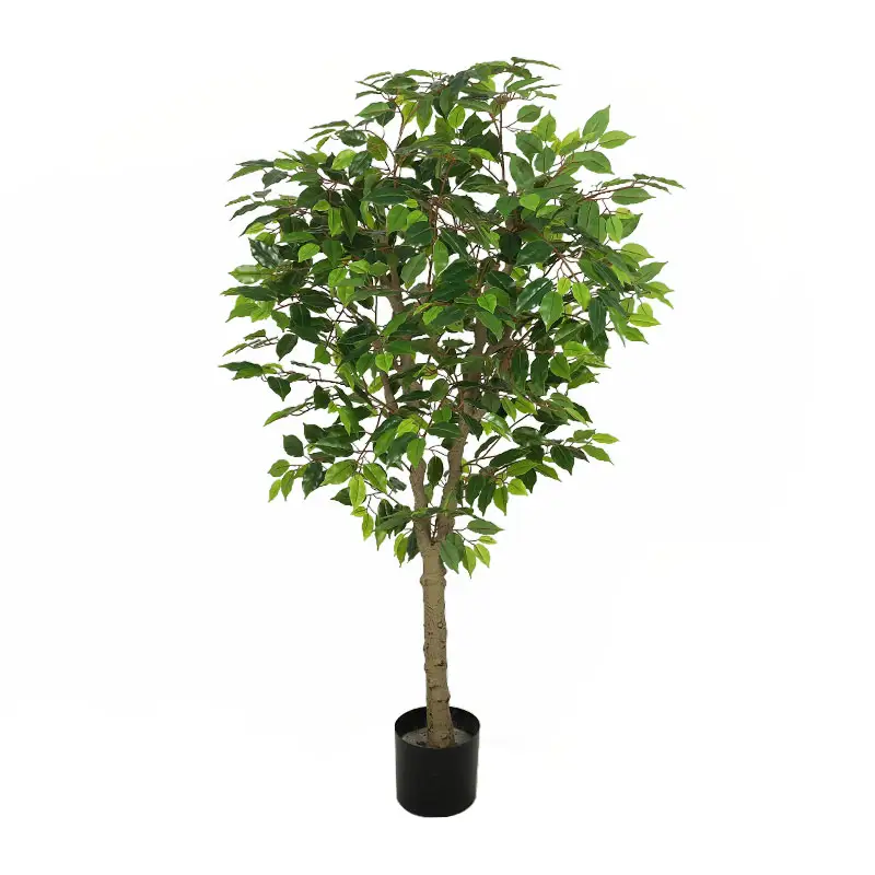 Árvore artificial ficus, árvore de galhos reais de tronco com pequena folha de confiança, decorativa de árvores altas para uso ao ar livre