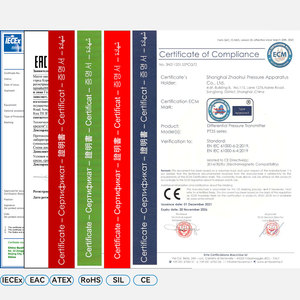 ZHYQ Sensor de presión de pantalla digital LED industrial personalizable Salida de 4-20ma - Product Image 6