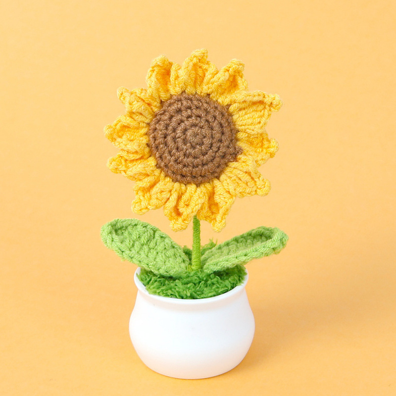 Plante en pot de tournesol à feuilles pointues-5 anneaux-12 pétales