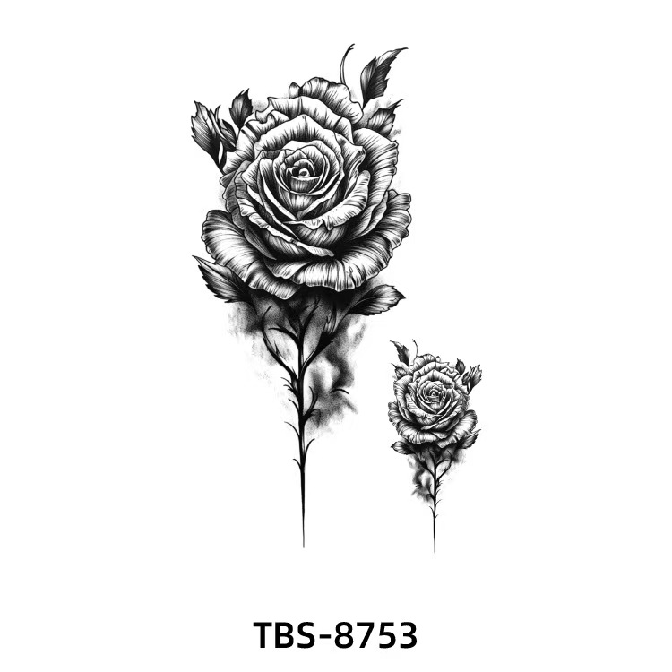 TBS-8753