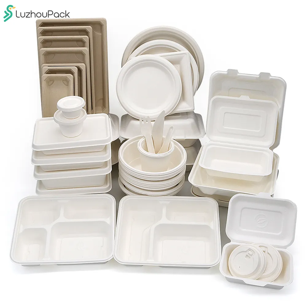 LuzhouPack 600ml Biodegradable   Compostable Sugarcane take away Bagasse biodegradable paper take out food container disposable