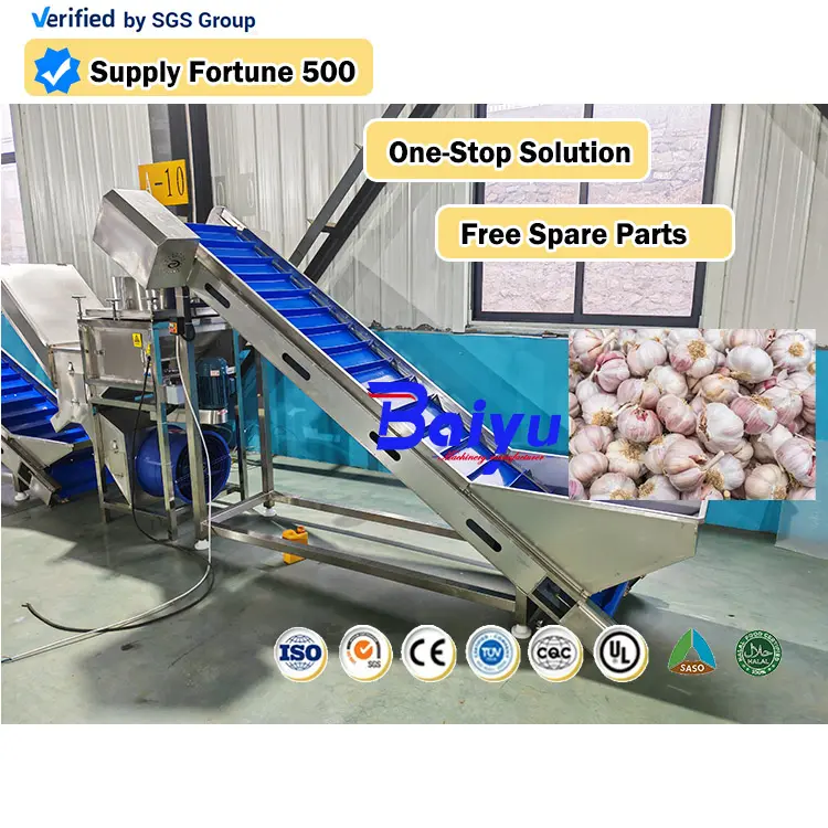 Baiyu Fruit Ginger Garlic Peeling Machine Onion Garlic Making Processing Machine Onion Garlic Powder Grading Production Line