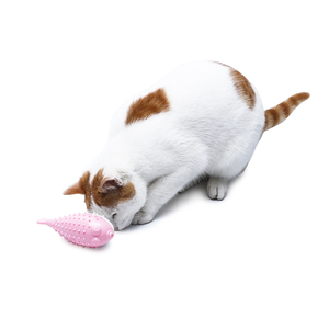 Multifuncional brinquedo do gato bola baiacu falando brinquedo do gato <span class=keywords><strong>com</strong></span> <span class=keywords><strong>catnip</strong></span> bola 2