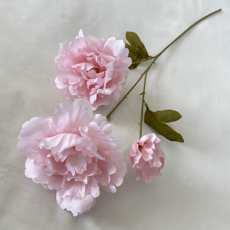 14# Rosa, peonía Cacino
