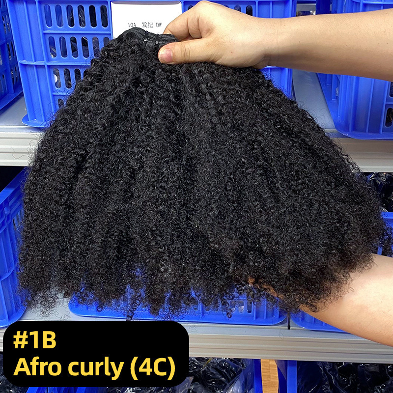 #1b afro kinky curly 4c