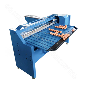 Clasificador de tamaño de máquina de clasificación y embalaje de 5 niveles de alta eficiencia, clasificador de huevos de 3 filas - Product Image 1