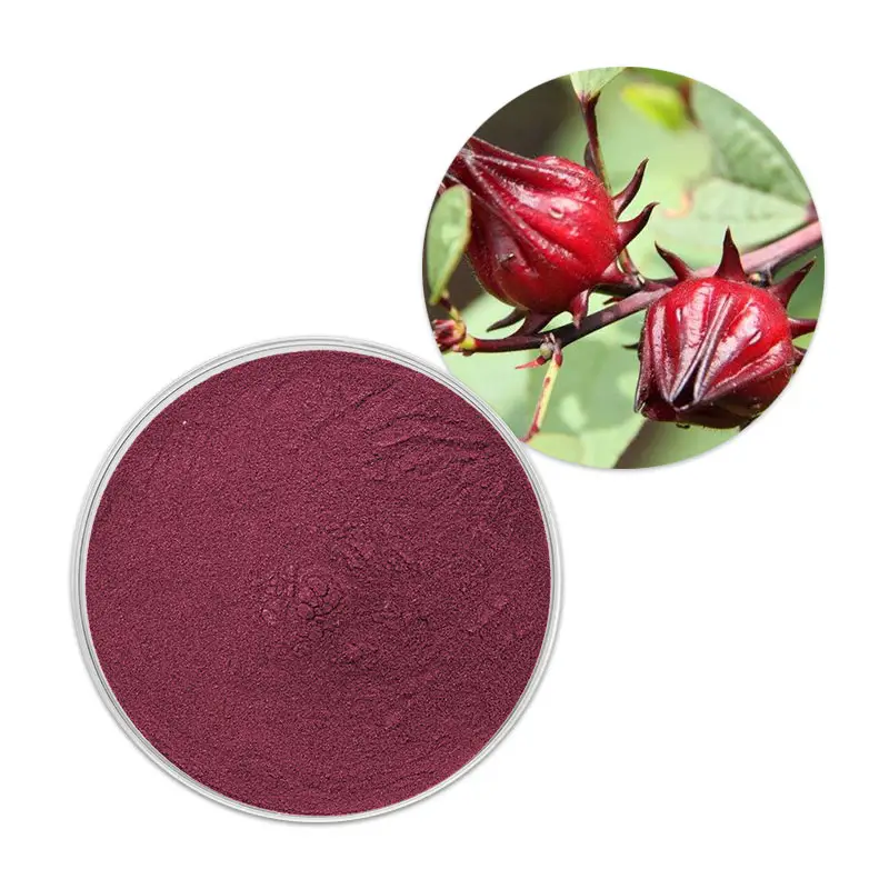 Extracto de flor de Argentina, polvo de flor de hibisco seco, sabdariffa, Roselle, hibisco, venta al por mayor