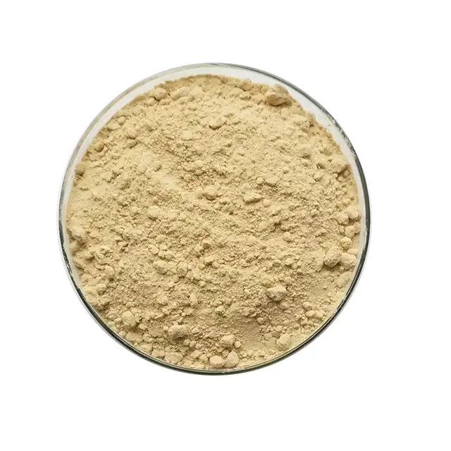 Extracto de raíz de ginseng Natural de alta calidad 5% 10% 80% Ginsenoside en polvo
