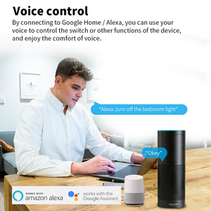 SIXWGH DIY MINI 16AリレーモジュールアダプターTuya ZigbeeスマートウォールスイッチスマートライフAPPタイミングワークスGoogle Home Alexa Max - Product Image 3