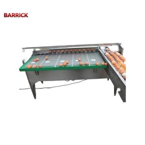 Kümes Hayvanları Çiftlikleri ve Sınıflandırma Ekipmanları için Barrick Ayarlanabilir Hızlı Yumurta Konveyör Bandı - Product Image 6