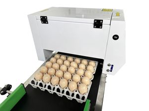Конвейер для печати яиц, 6 головок - Product Image 5