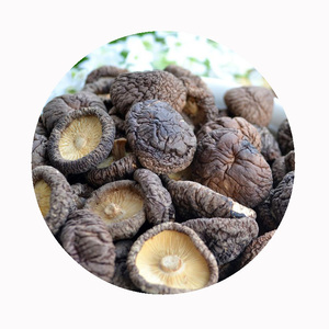 Cao cấp Hữu Cơ trồng khô <span class=keywords><strong>Shiitake</strong></span> Hoa NấM (donko) | 3-4cm dày cap nứt bề mặt | Top Grade cho món quà cho người sành ăn - Product Image 1