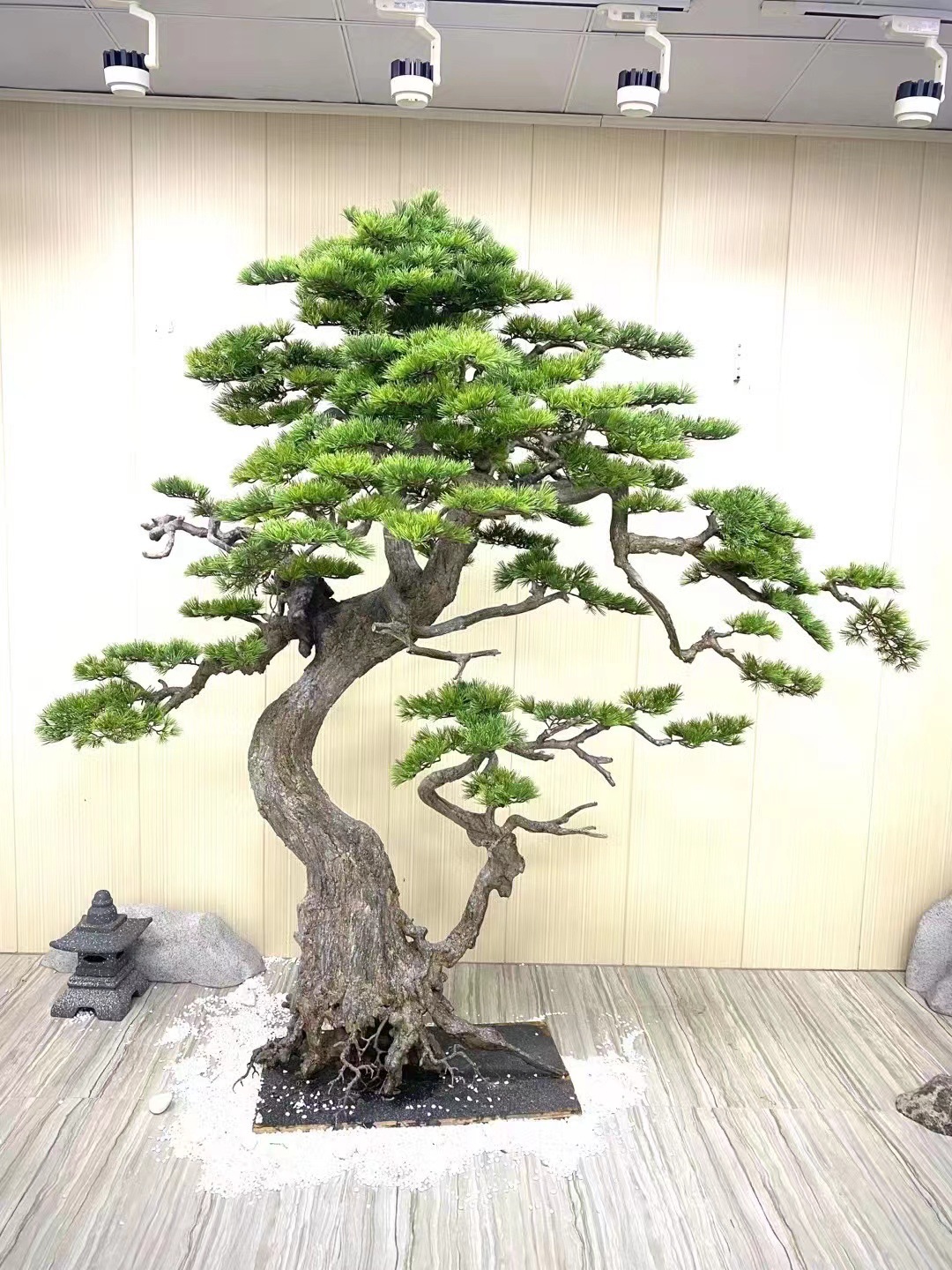2.3m simulated fine grain ancient black pine
