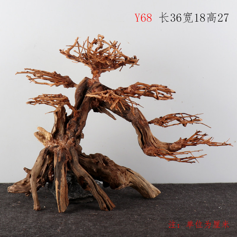 Y68