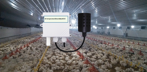 AIR <strong>TEMPERATURE</strong> and AIR HUMIDITY CO2 THREE PARAMETERS 3 in 1 WALL MOUNTED SPLIT TYPE RS485 WIFI GPRS LORA LORAWAN SENSOR TESTER - Product Image 3