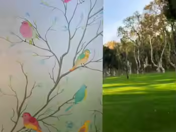 26PF-Oiseaux (Gris) Largeur : 50 cm