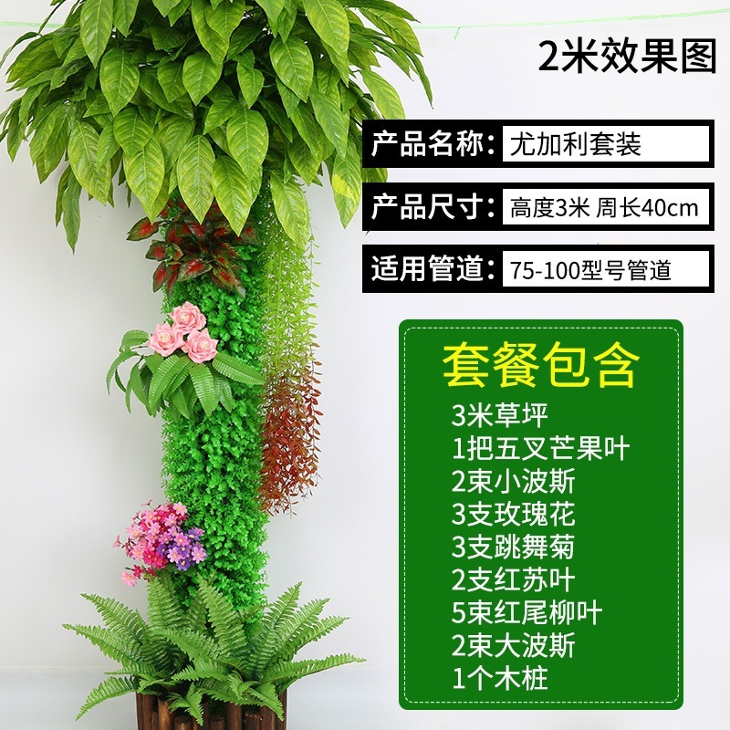 Ensemble d'eucalyptus F