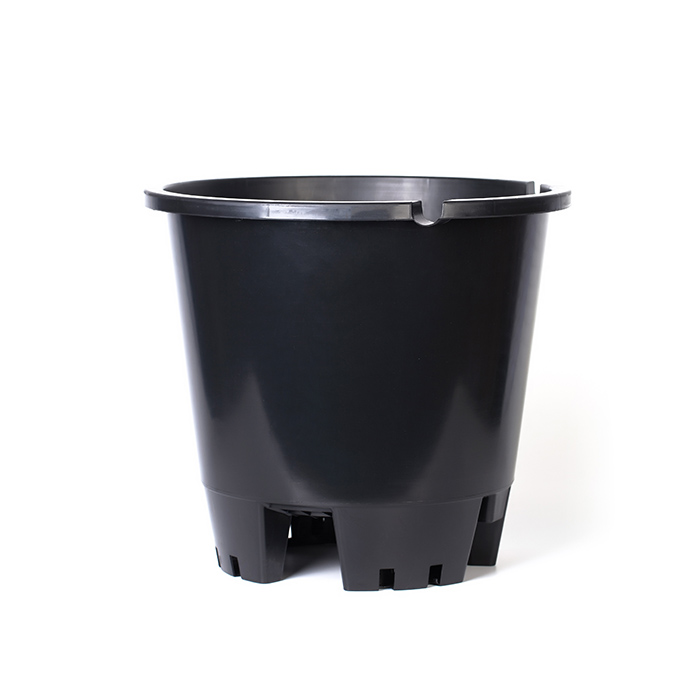 25L