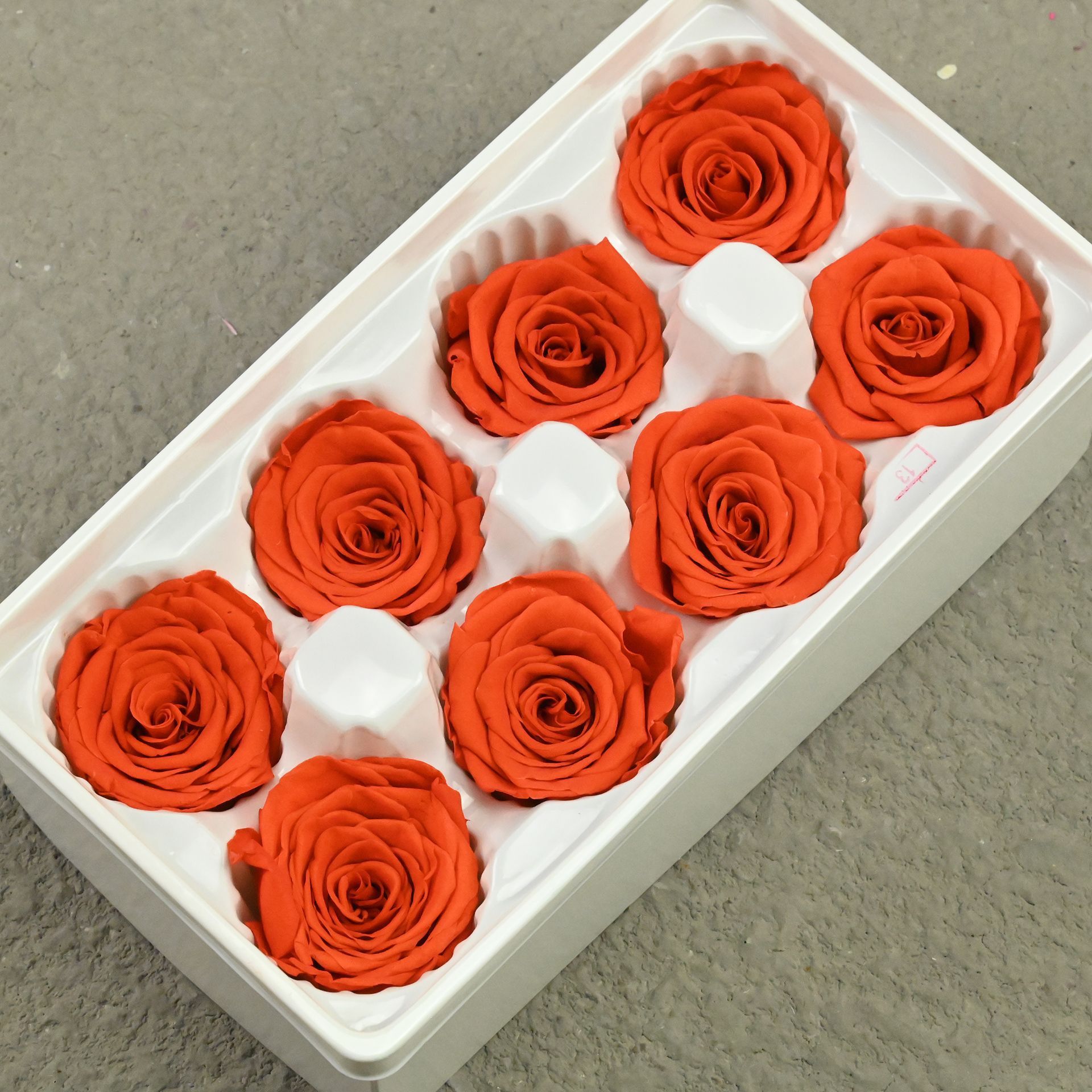 B rose 4-5 orange-8 flowers