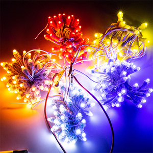 <strong>LED</strong> <strong>Pixels</strong> Ws2811 12mm <strong>LED</strong> Exposed <strong>Light</strong> <strong>String</strong> <strong>Pixel</strong> <strong>Light</strong> Programmable RGB <strong>Pixel</strong> Navidad De Luz <strong>LED</strong> <strong>String</strong> Con SPI Control - Product Image 2